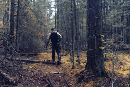 Купить диплом Егеря, лесника в Санкт-Петербурге