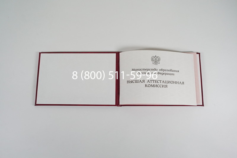 Диплом доктора наук 1995-2006 года в Санкт-Петербурге Диплом доктора наук 1995-2006 года в Санкт-Петербурге