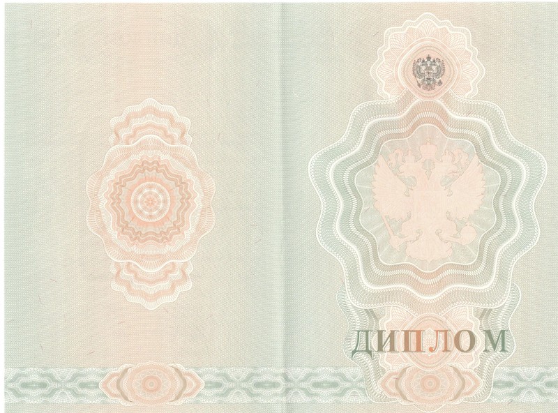 Купить Диплом о начальном образовании 2007-2009 годов в Санкт-Петербурге Купить Диплом о начальном образовании 2007-2009 годов в Санкт-Петербурге