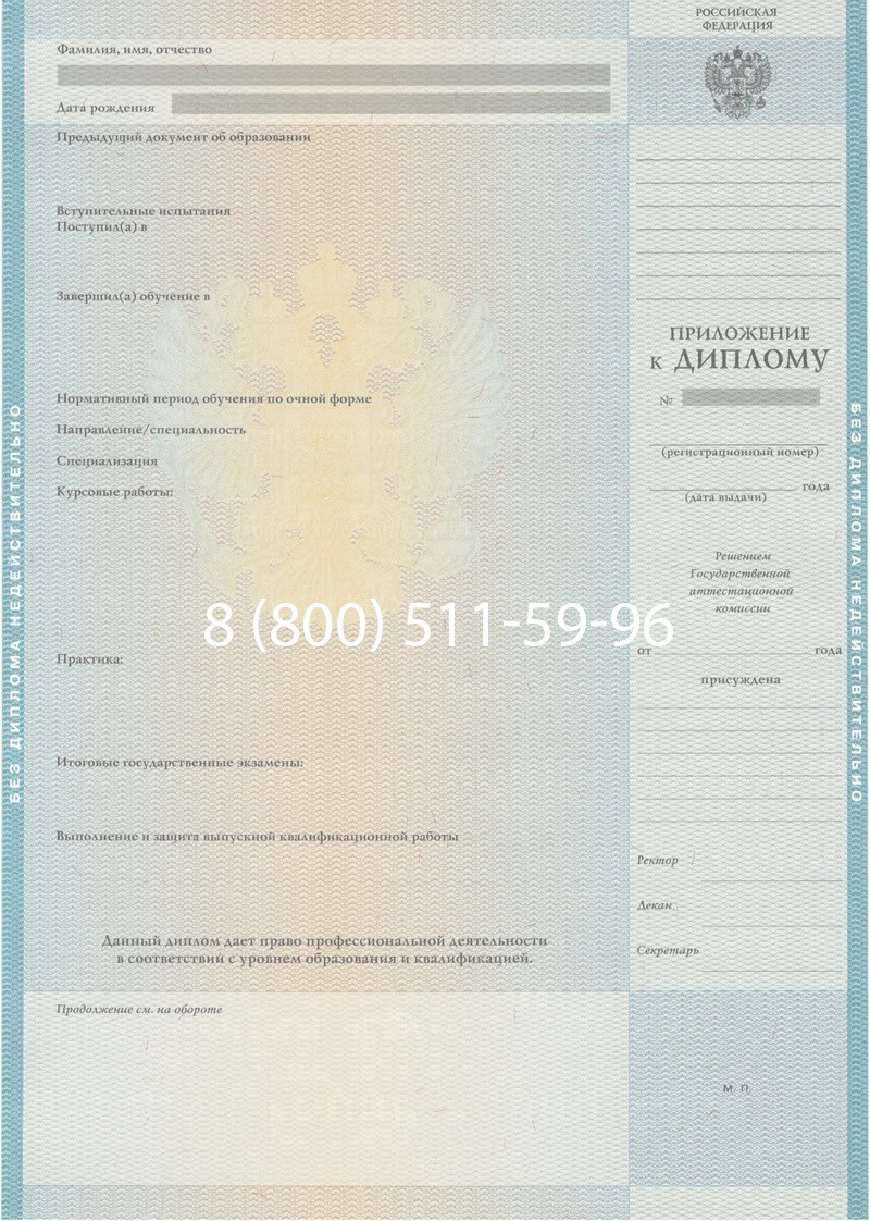 Заказать Диплом специалиста 2010-2011 годов в Санкт-Петербурге