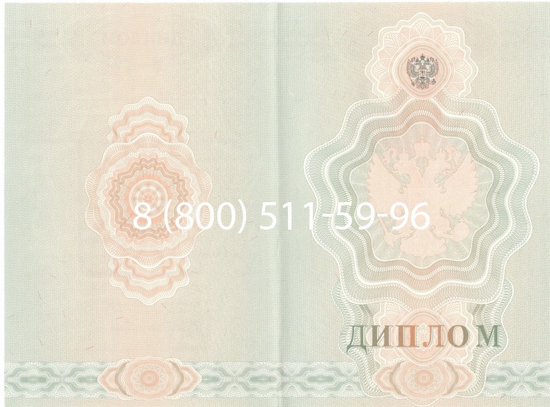 Купить Диплом училища 2007-2009 годов в Санкт-Петербурге